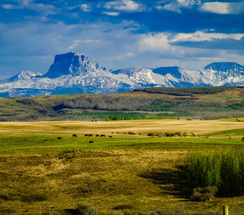 Northwest/Grande Prairie